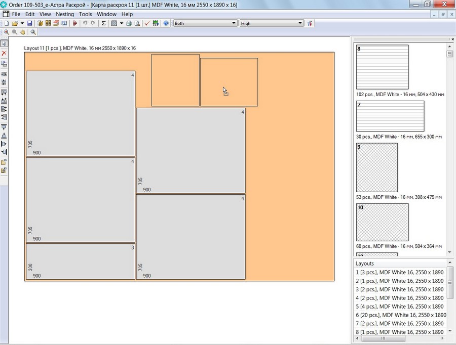 Astra R-Nesting software